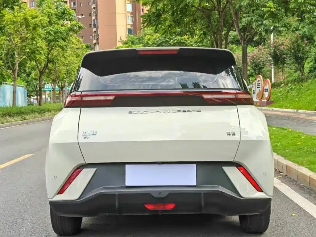 Seagull 2023 Freedom Edition — миниатюра 4
