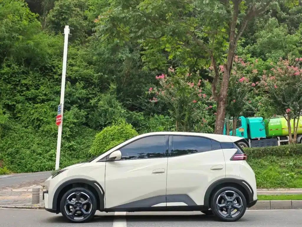 Seagull 2023 Freedom Edition — миниатюра 5
