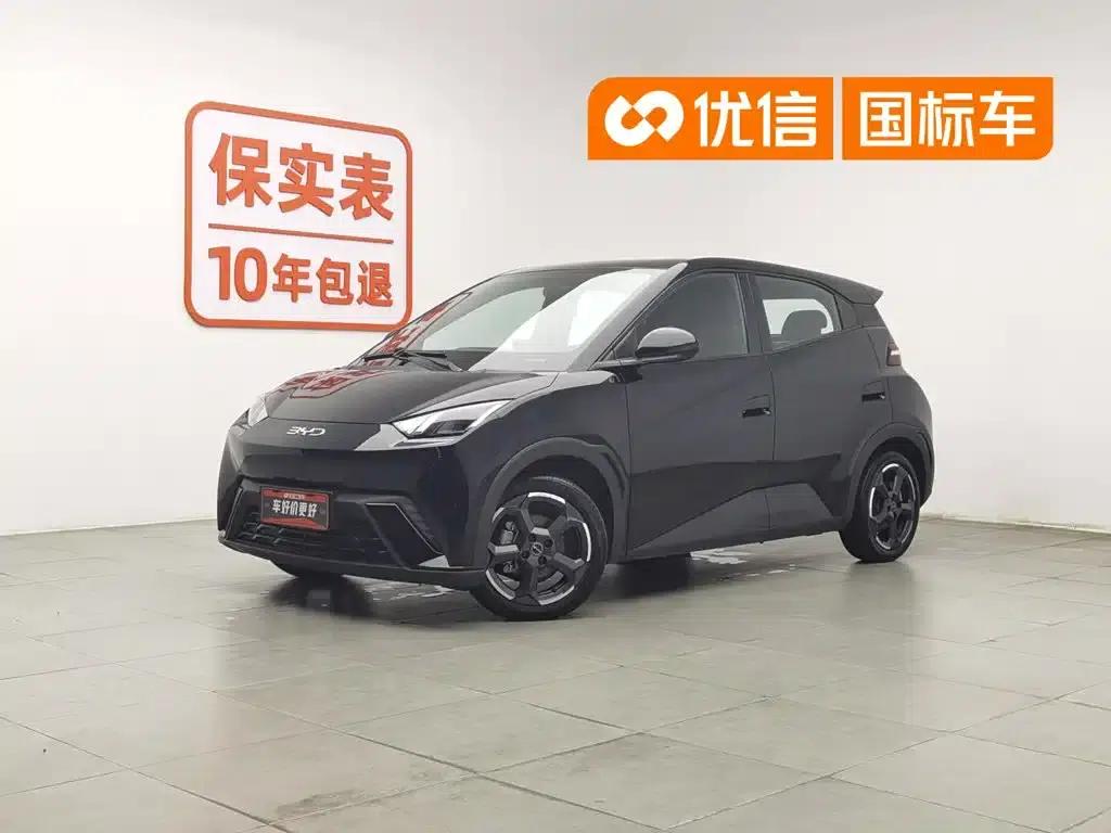 Seagull 2024 Glory Edition 305km Freedom Edition — миниатюра 1