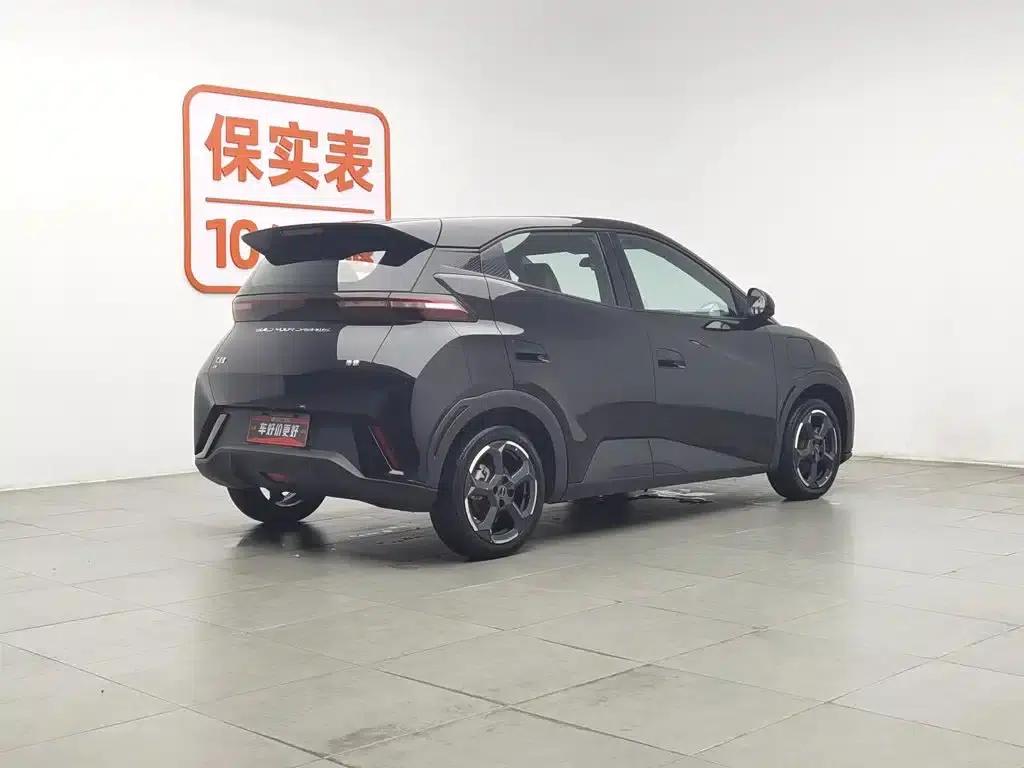 Seagull 2024 Glory Edition 305km Freedom Edition — миниатюра 2