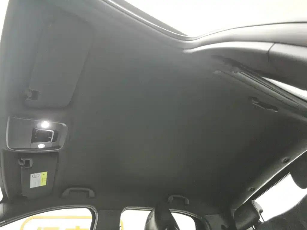 Seagull 2024 Glory Edition 305km Freedom Edition — миниатюра 14