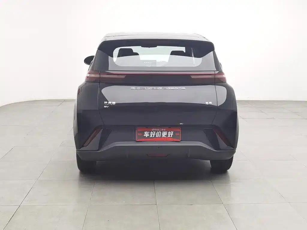 Seagull 2024 Glory Edition 305km Freedom Edition — миниатюра 4