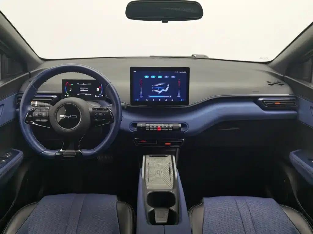 Seagull 2024 Glory Edition 305km Freedom Edition — миниатюра 5