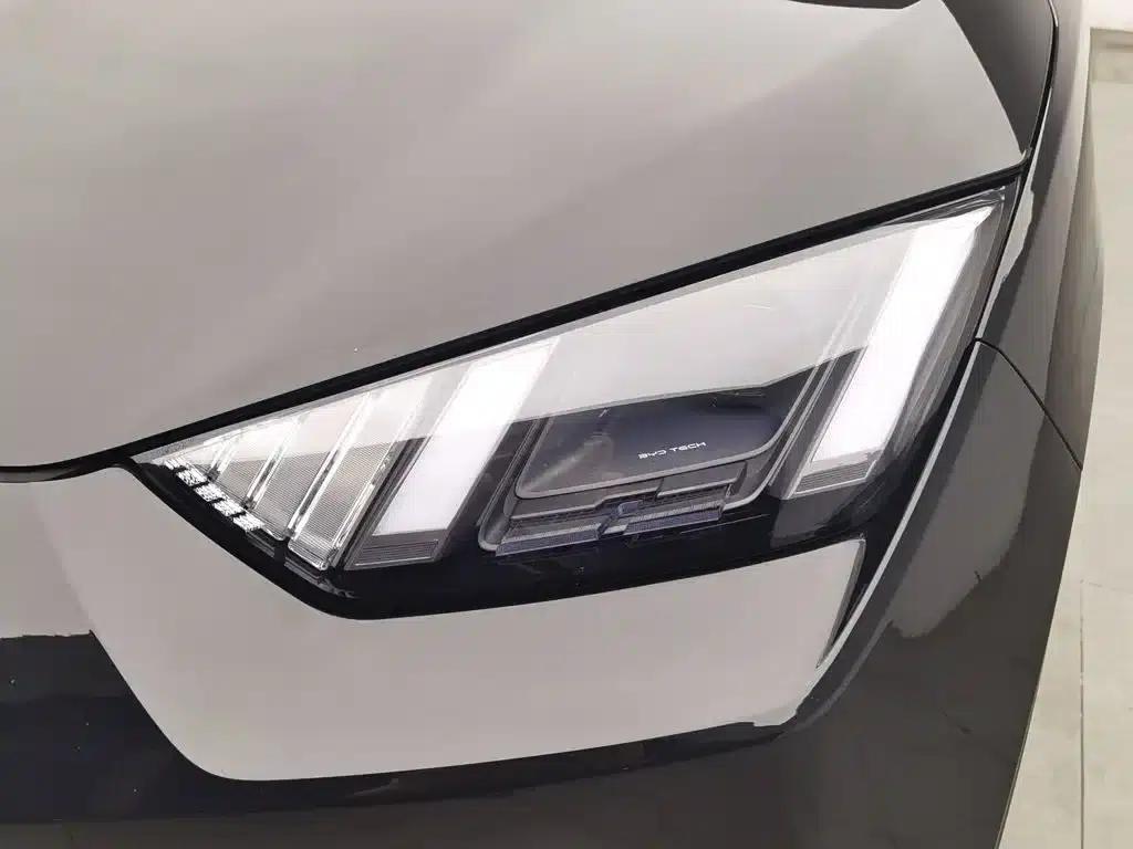 Seagull 2024 Glory Edition 305km Freedom Edition — миниатюра 7