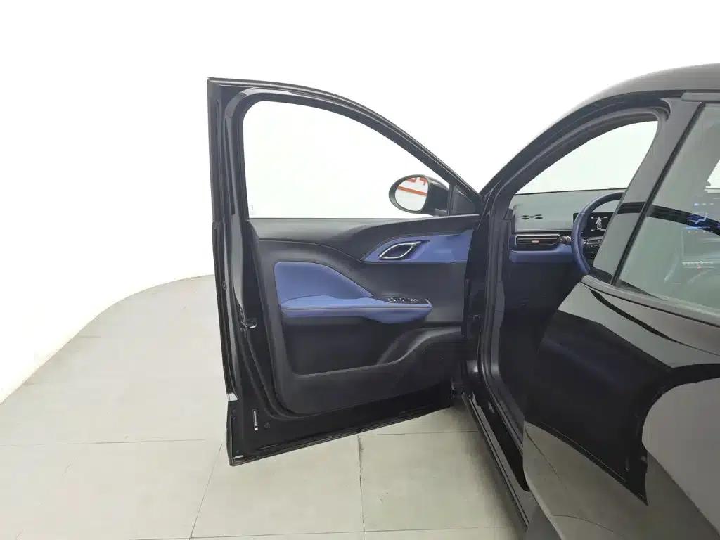 Seagull 2024 Glory Edition 305km Freedom Edition — миниатюра 8