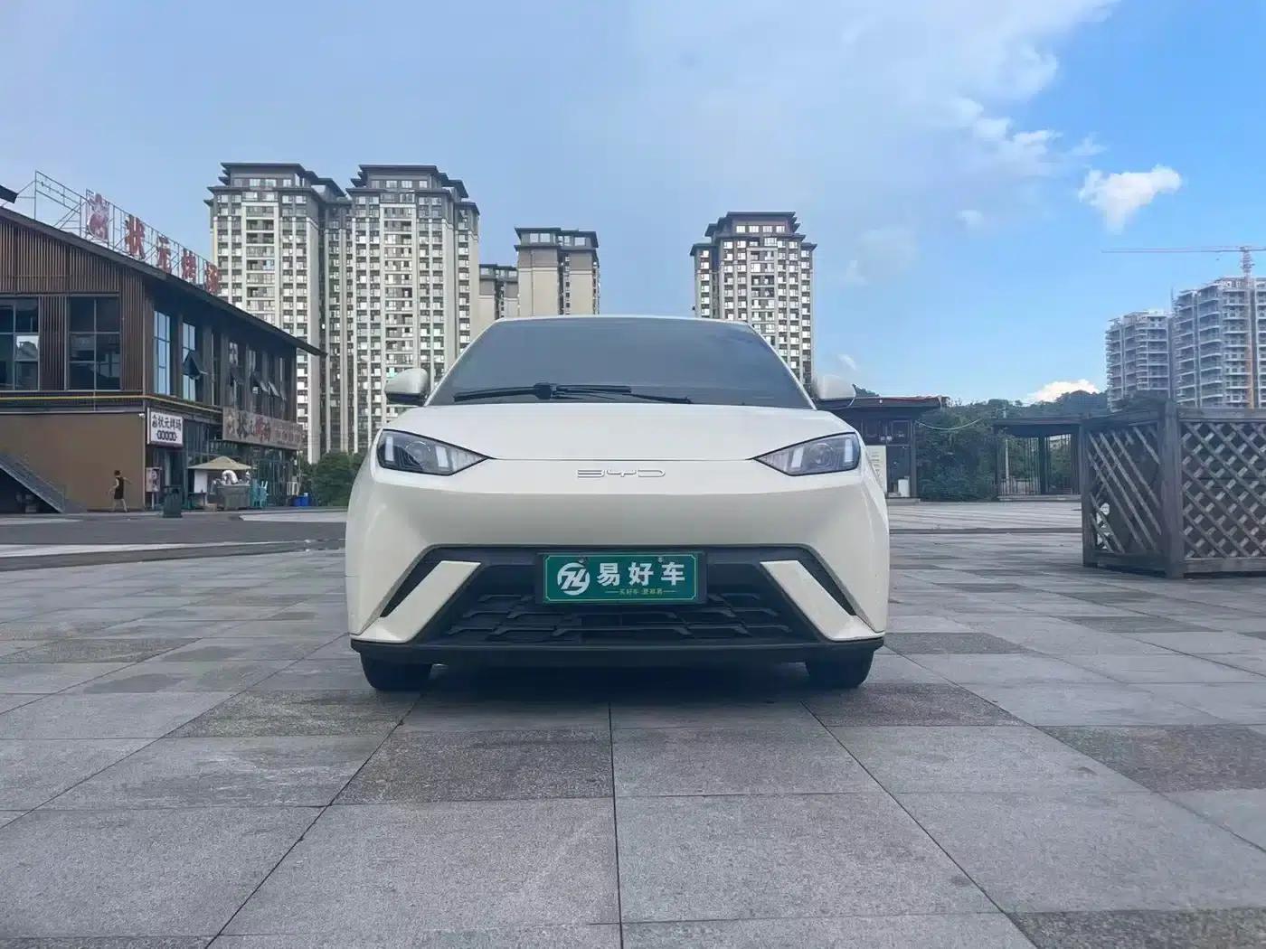 Seagull 2024 Glory Edition 305km/h Vitality Edition — миниатюра 1