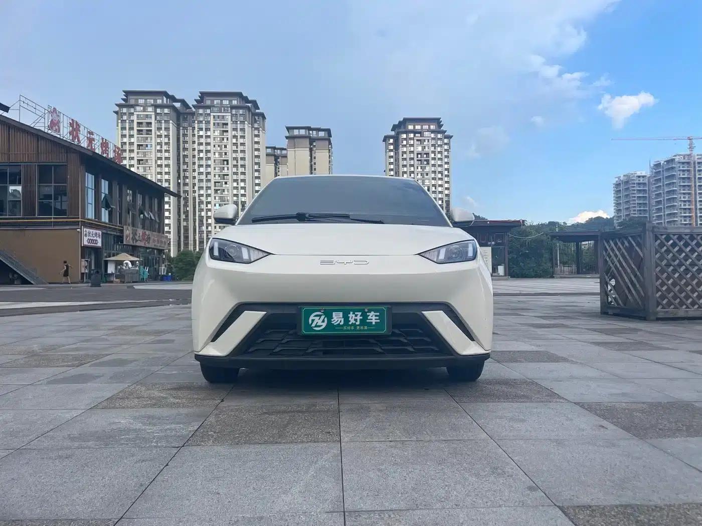 Seagull 2024 Glory Edition 305km/h Vitality Edition — миниатюра 2