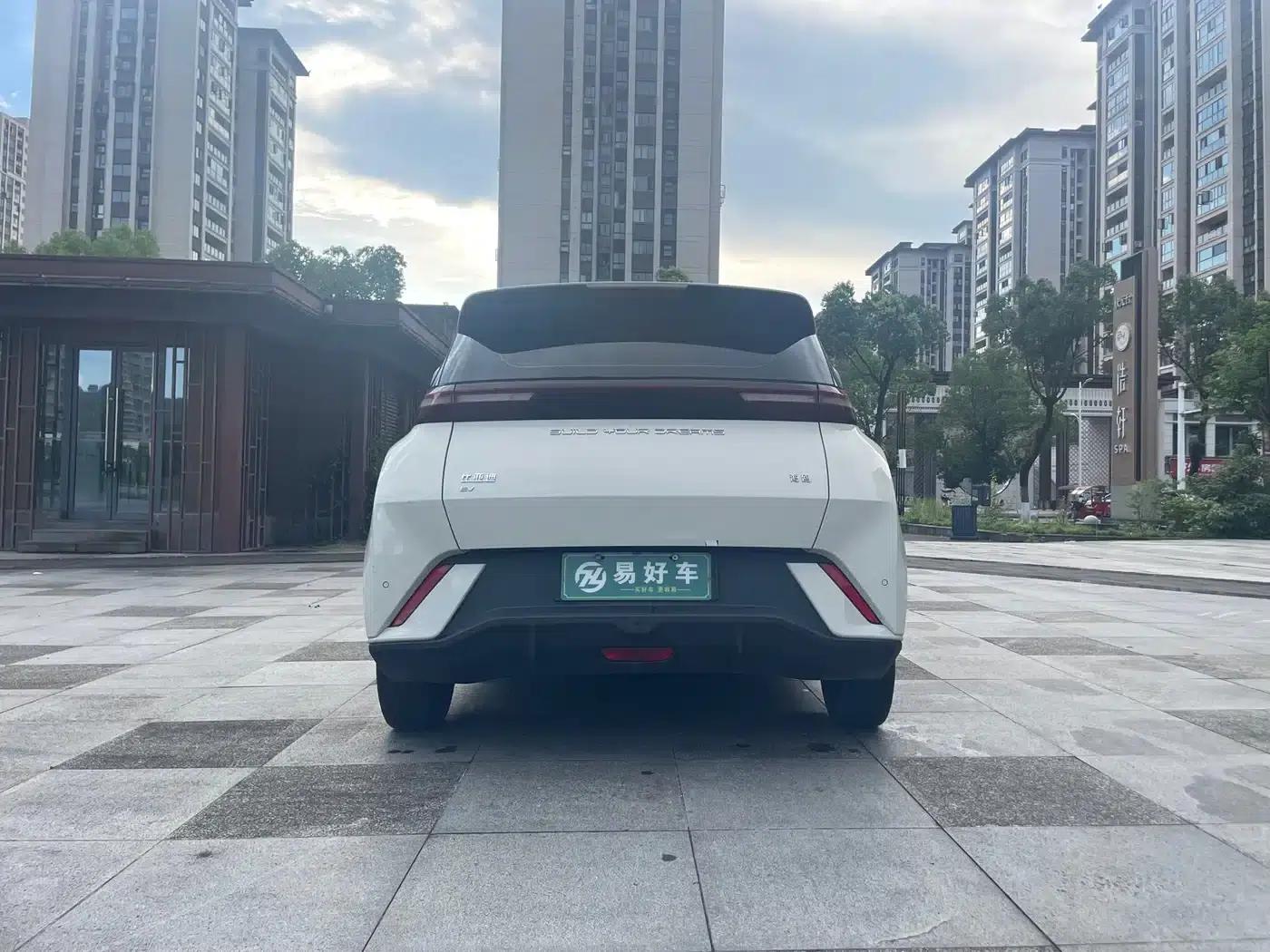 Seagull 2024 Glory Edition 305km/h Vitality Edition — миниатюра 13