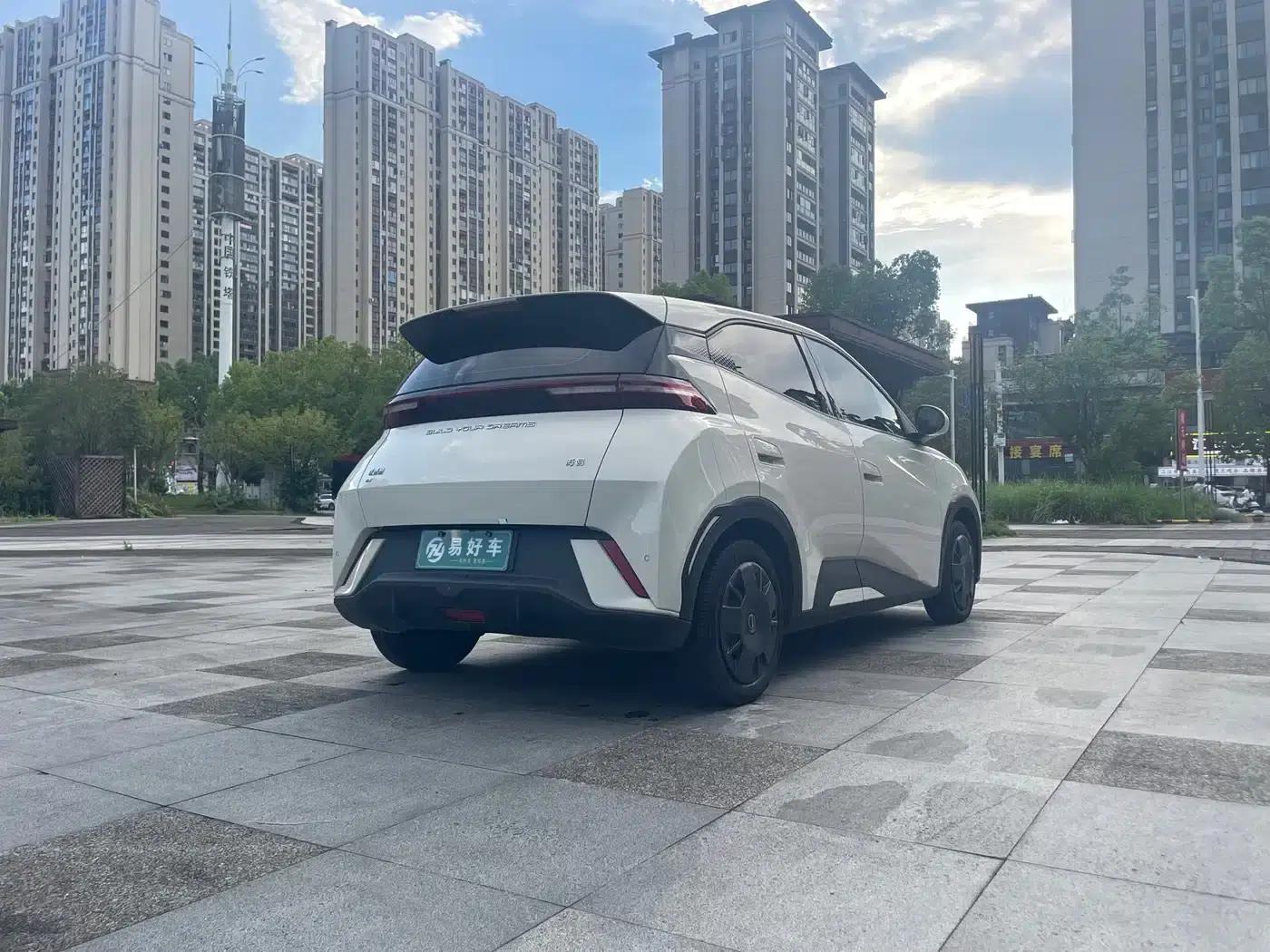 Seagull 2024 Glory Edition 305km/h Vitality Edition — миниатюра 14