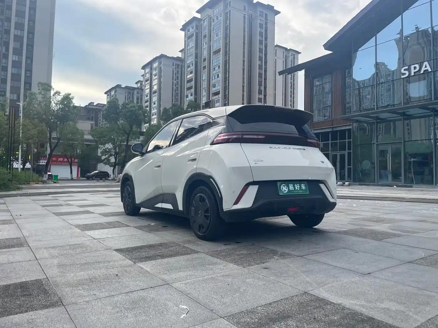 Seagull 2024 Glory Edition 305km/h Vitality Edition — миниатюра 15