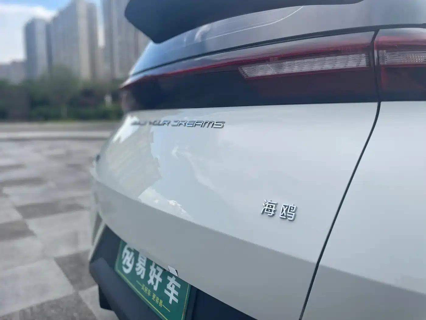 Seagull 2024 Glory Edition 305km/h Vitality Edition — миниатюра 16