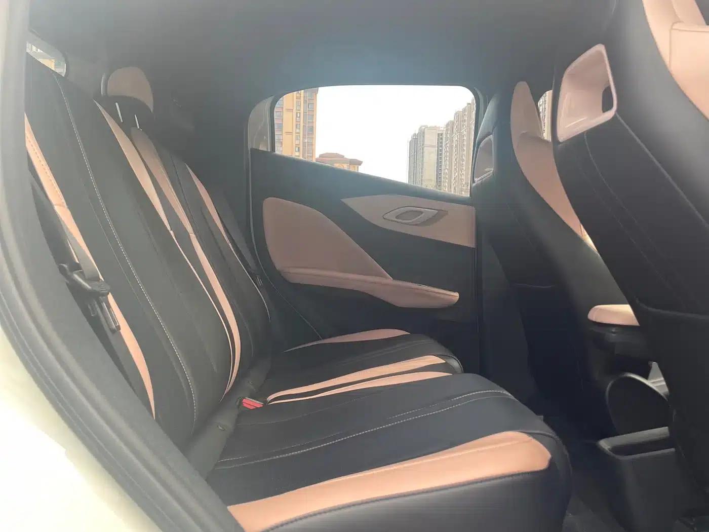 Seagull 2024 Glory Edition 305km/h Vitality Edition — миниатюра 17