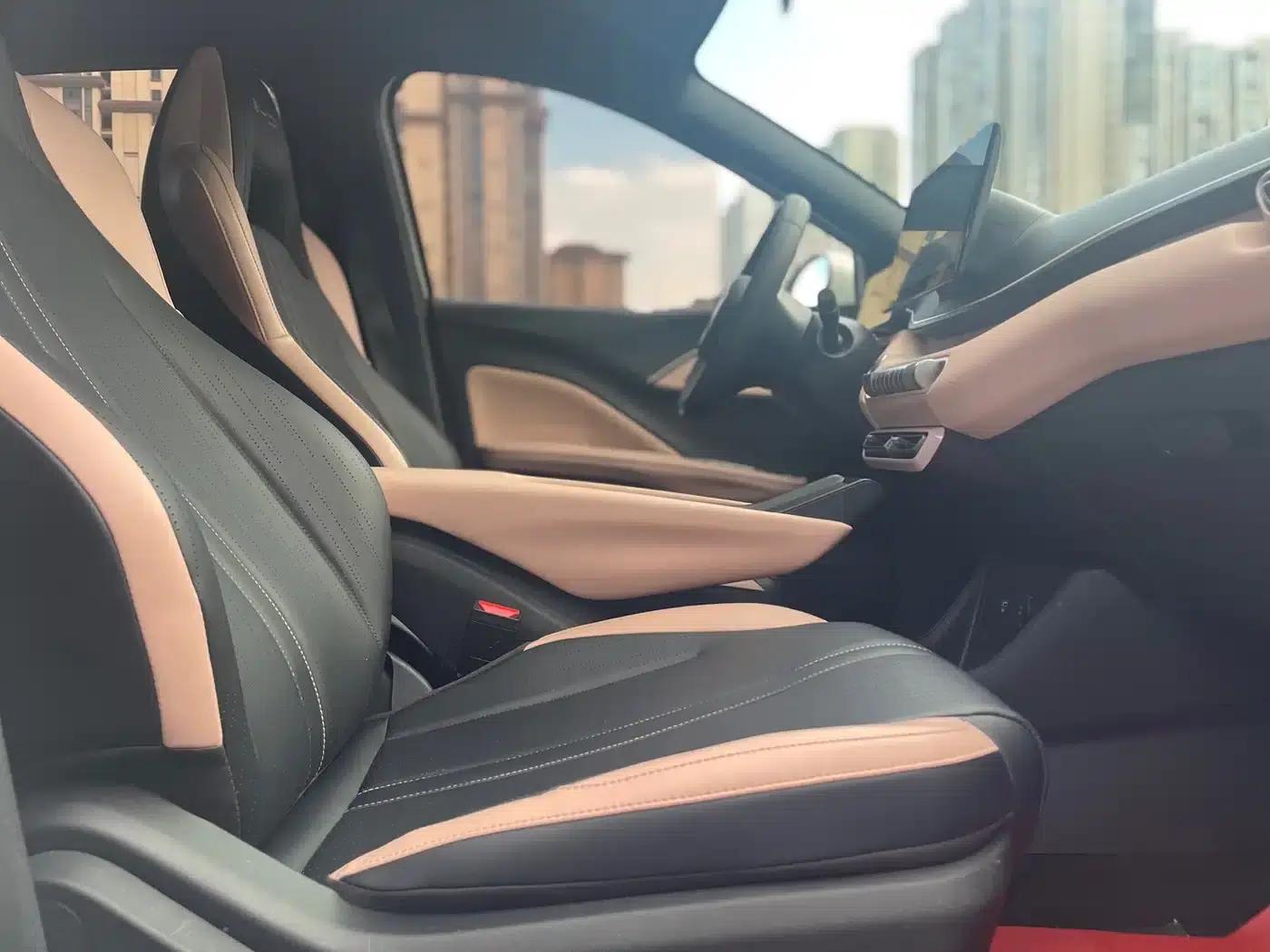 Seagull 2024 Glory Edition 305km/h Vitality Edition — миниатюра 18