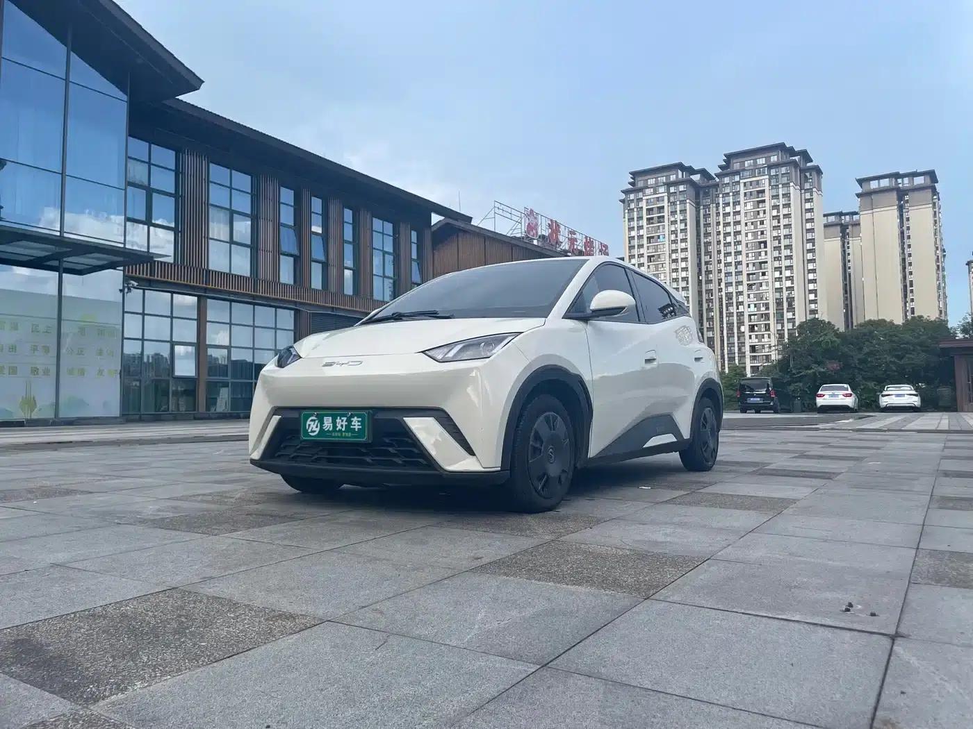 Seagull 2024 Glory Edition 305km/h Vitality Edition — миниатюра 3