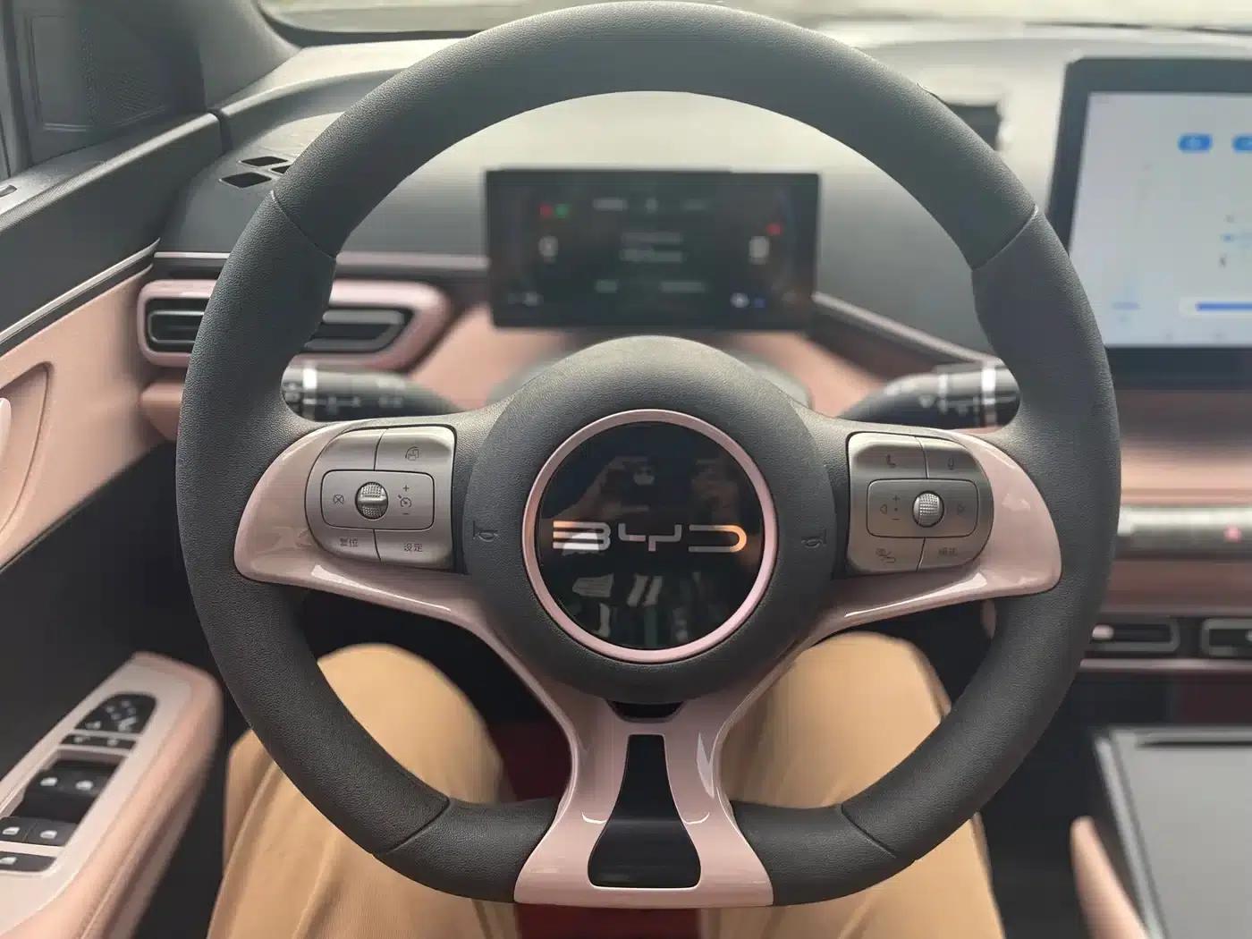 Seagull 2024 Glory Edition 305km/h Vitality Edition — миниатюра 21