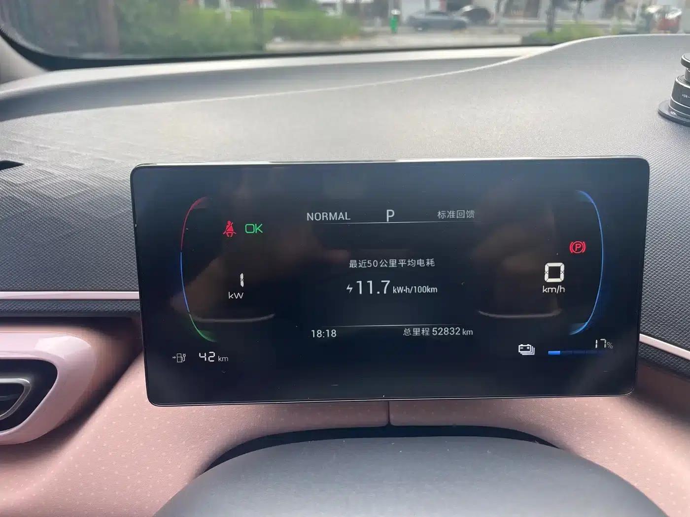 Seagull 2024 Glory Edition 305km/h Vitality Edition — миниатюра 23