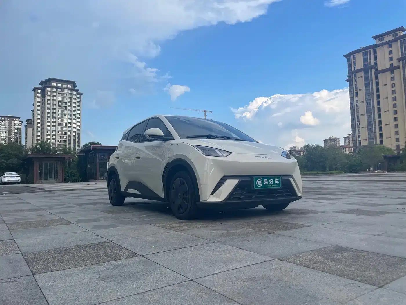 Seagull 2024 Glory Edition 305km/h Vitality Edition — миниатюра 4