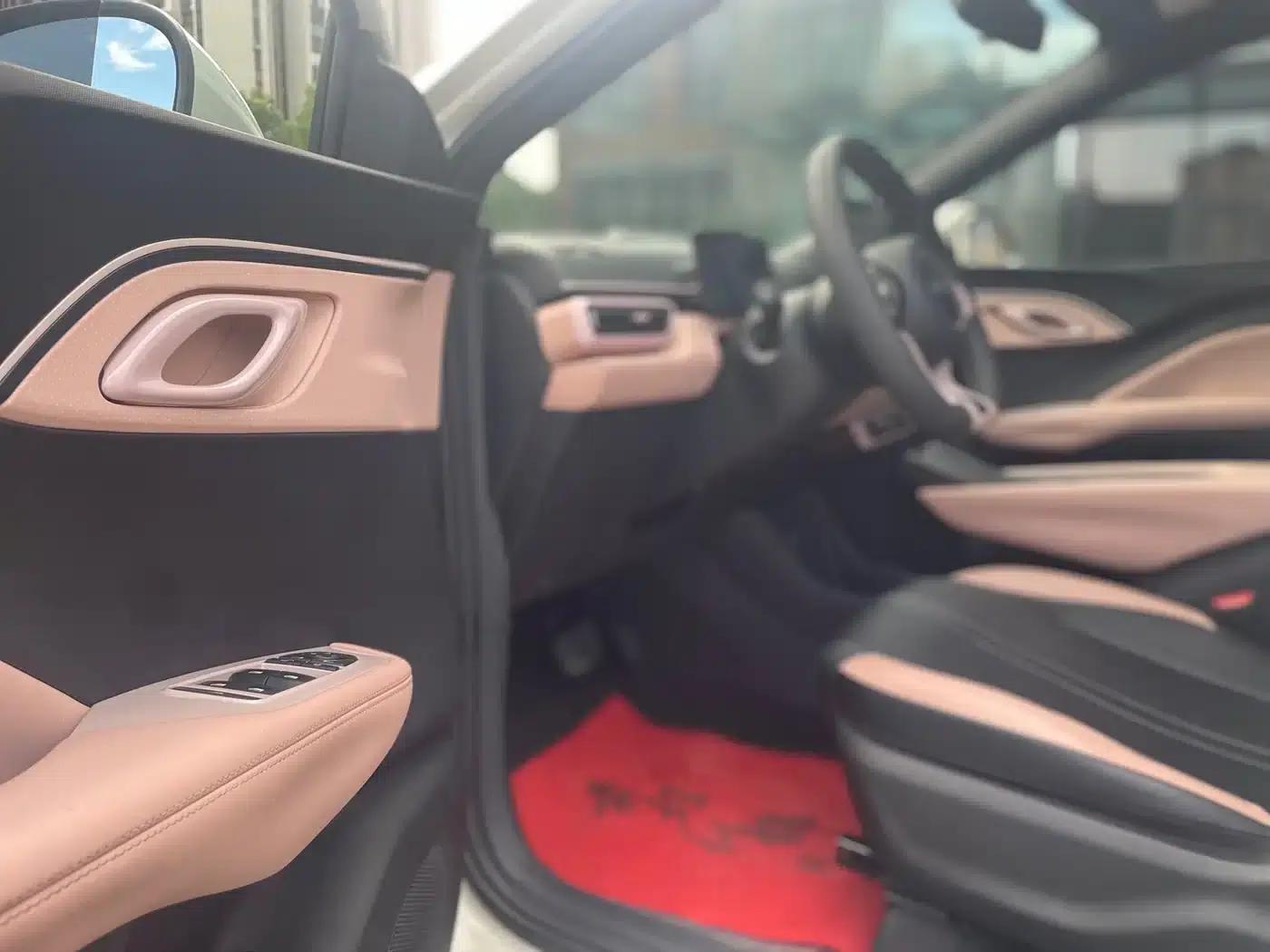 Seagull 2024 Glory Edition 305km/h Vitality Edition — миниатюра 10