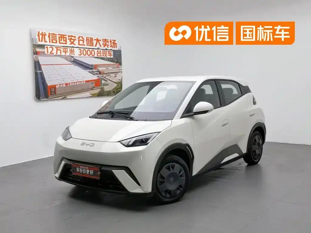 Seagull 2023 Vitality Edition — миниатюра 1