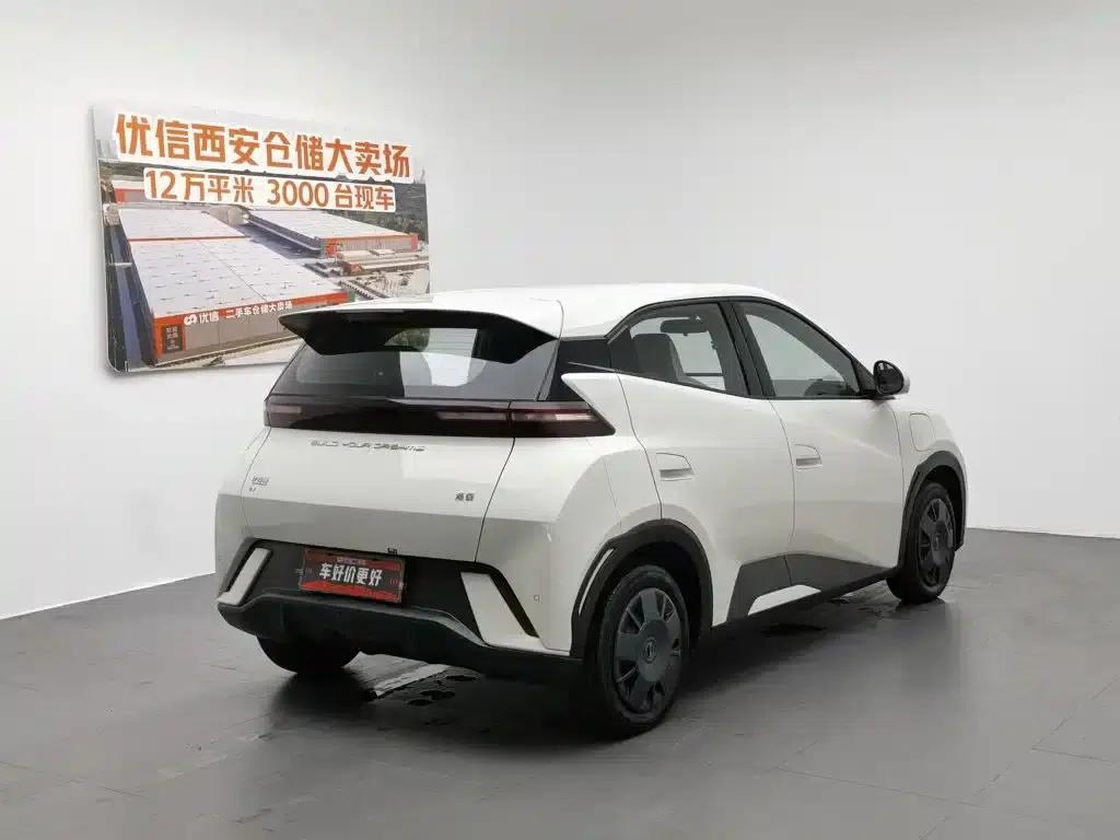 Seagull 2023 Vitality Edition — миниатюра 2