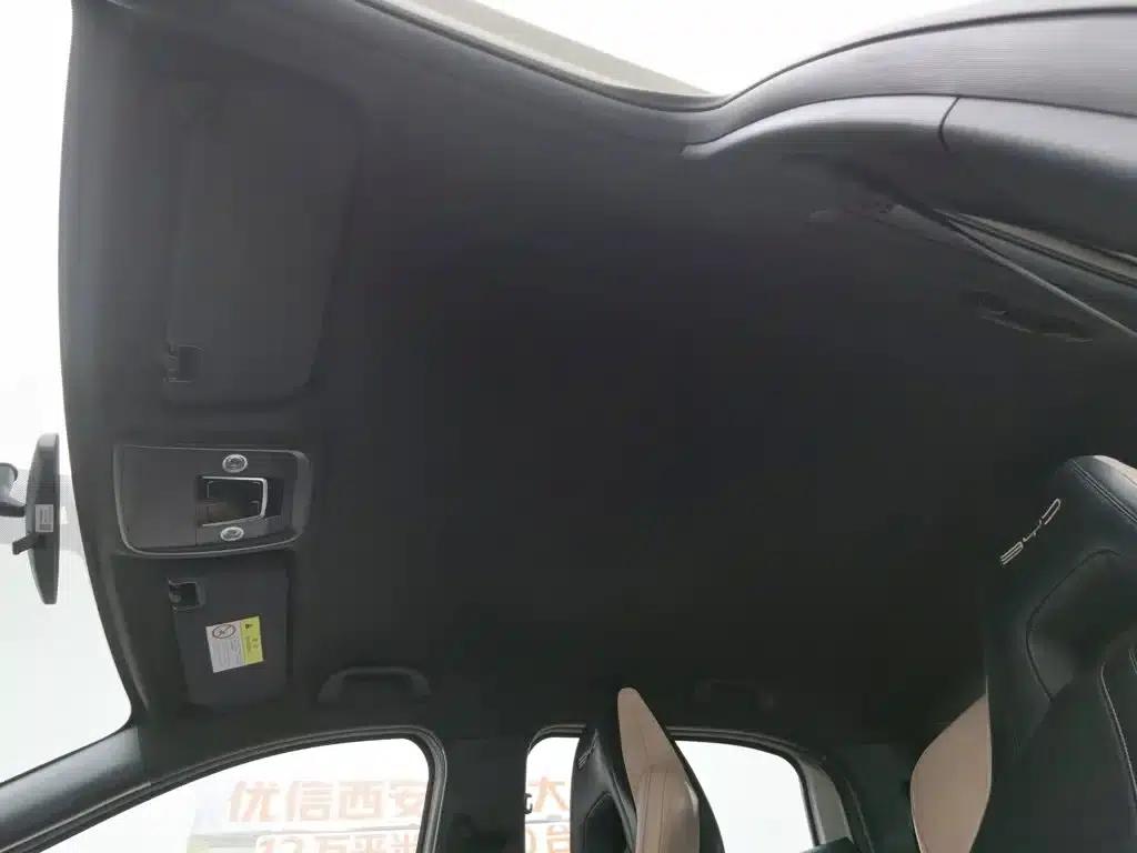 Seagull 2023 Vitality Edition — миниатюра 14