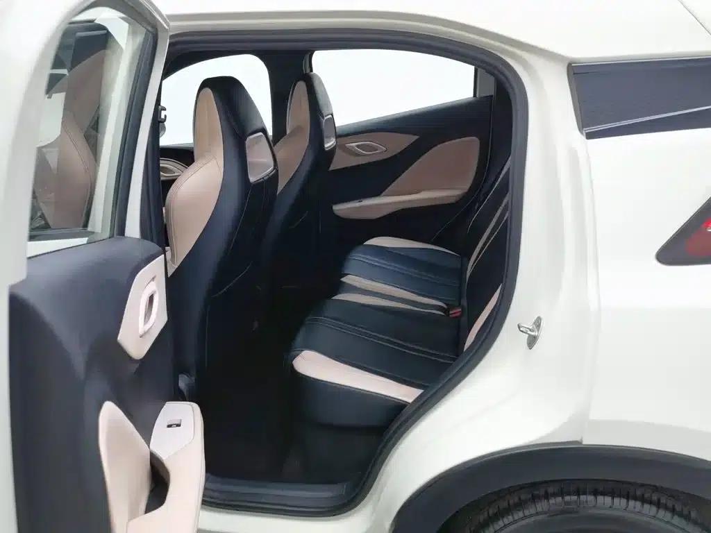 Seagull 2023 Vitality Edition — миниатюра 15