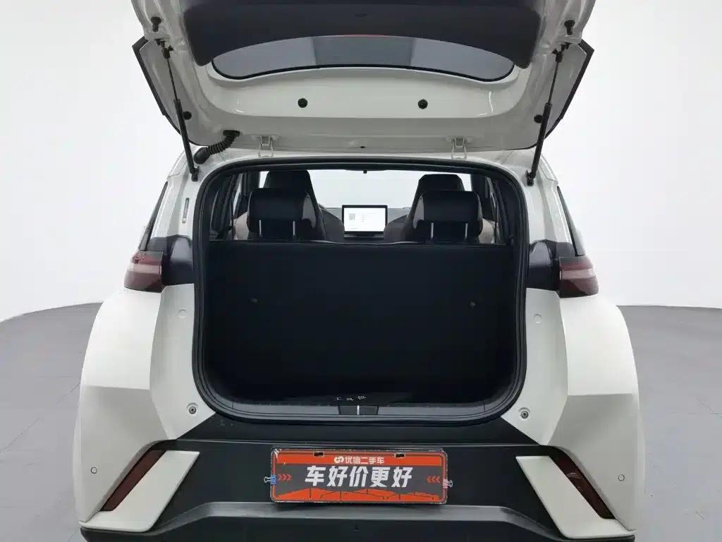 Seagull 2023 Vitality Edition — миниатюра 16