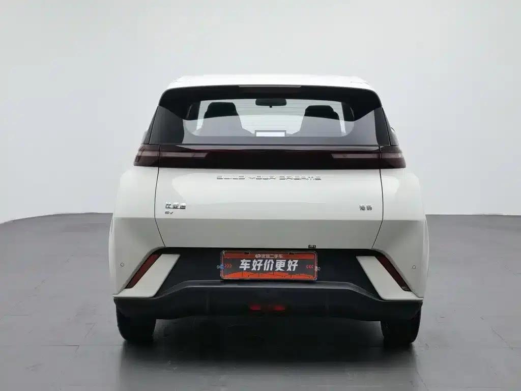 Seagull 2023 Vitality Edition — миниатюра 4