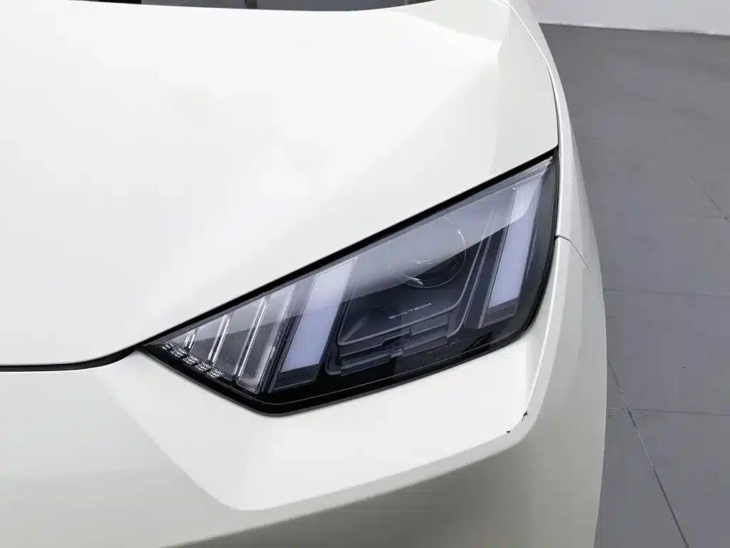 Seagull 2023 Vitality Edition — миниатюра 7