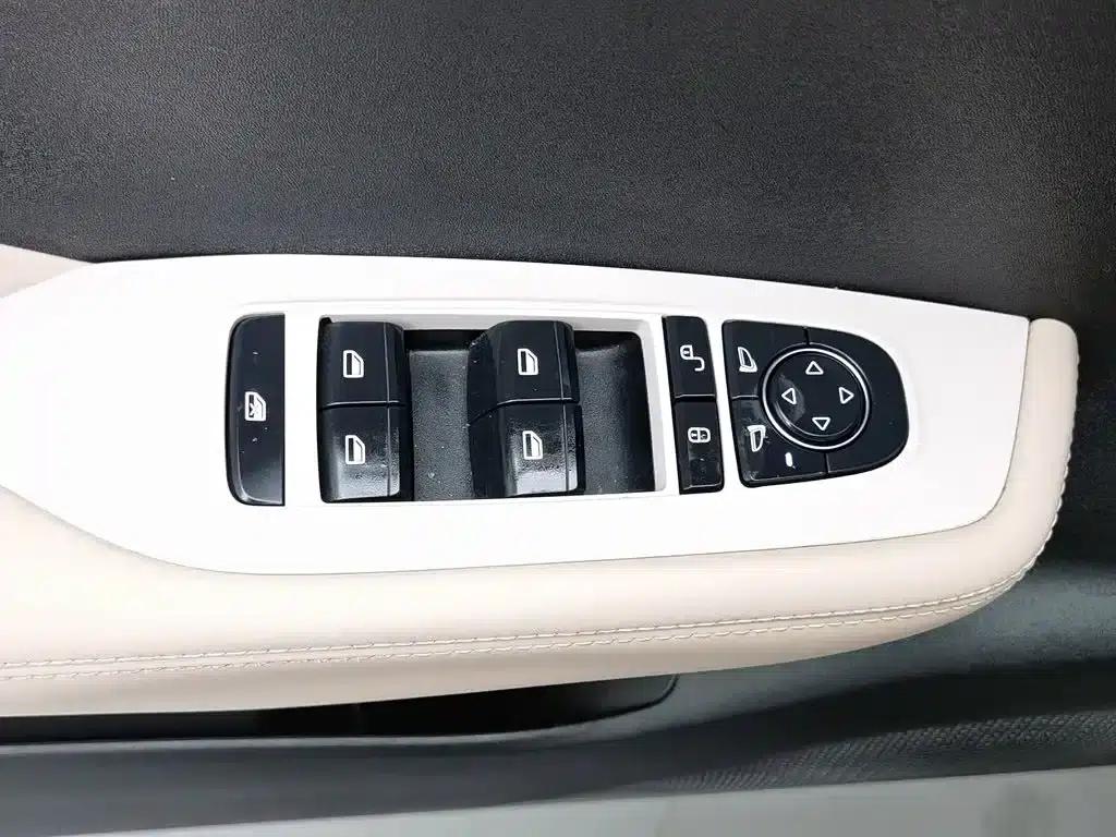 Seagull 2023 Vitality Edition — миниатюра 9