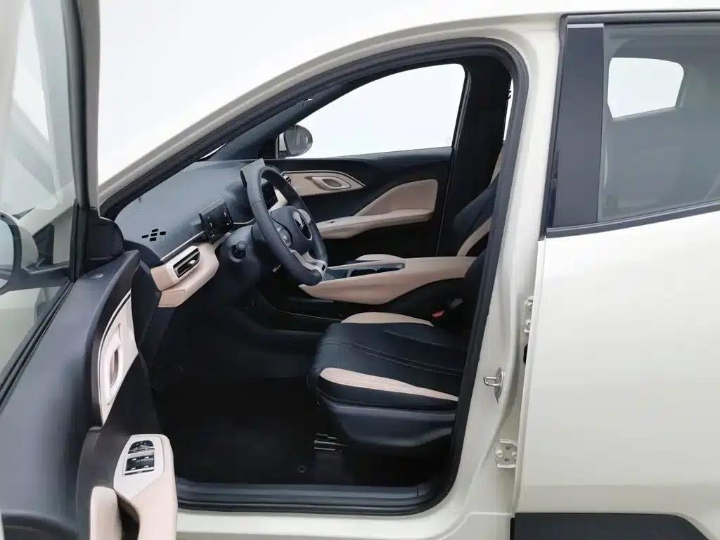 Seagull 2023 Vitality Edition — миниатюра 10