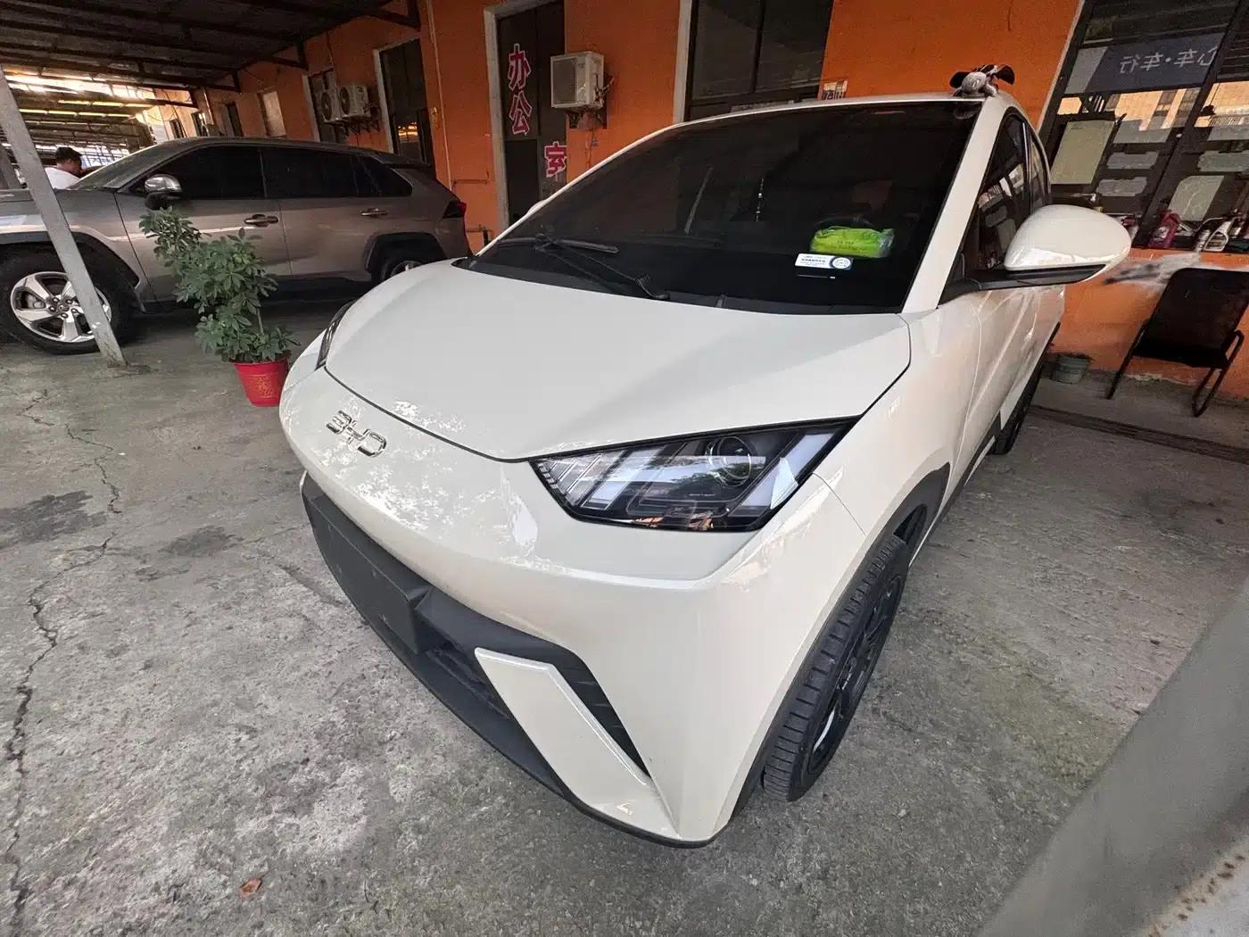 Seagull 2025 305km/h Dynamic Edition — миниатюра 1