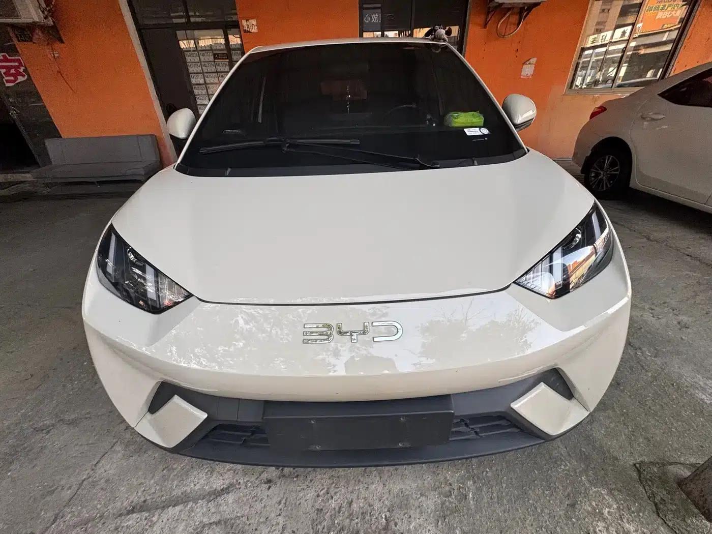 Seagull 2025 305km/h Dynamic Edition — миниатюра 2