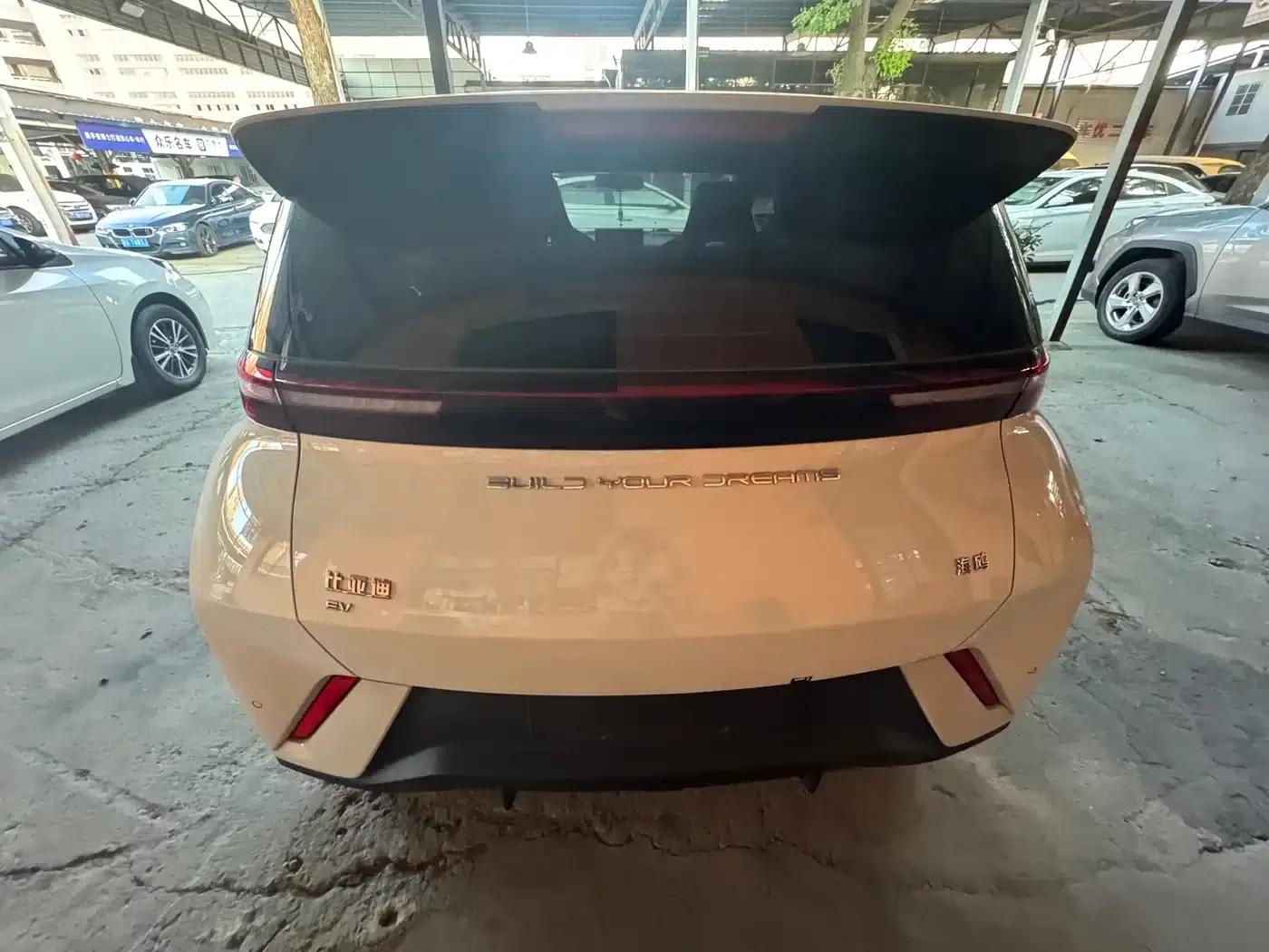 Seagull 2025 305km/h Dynamic Edition — миниатюра 8