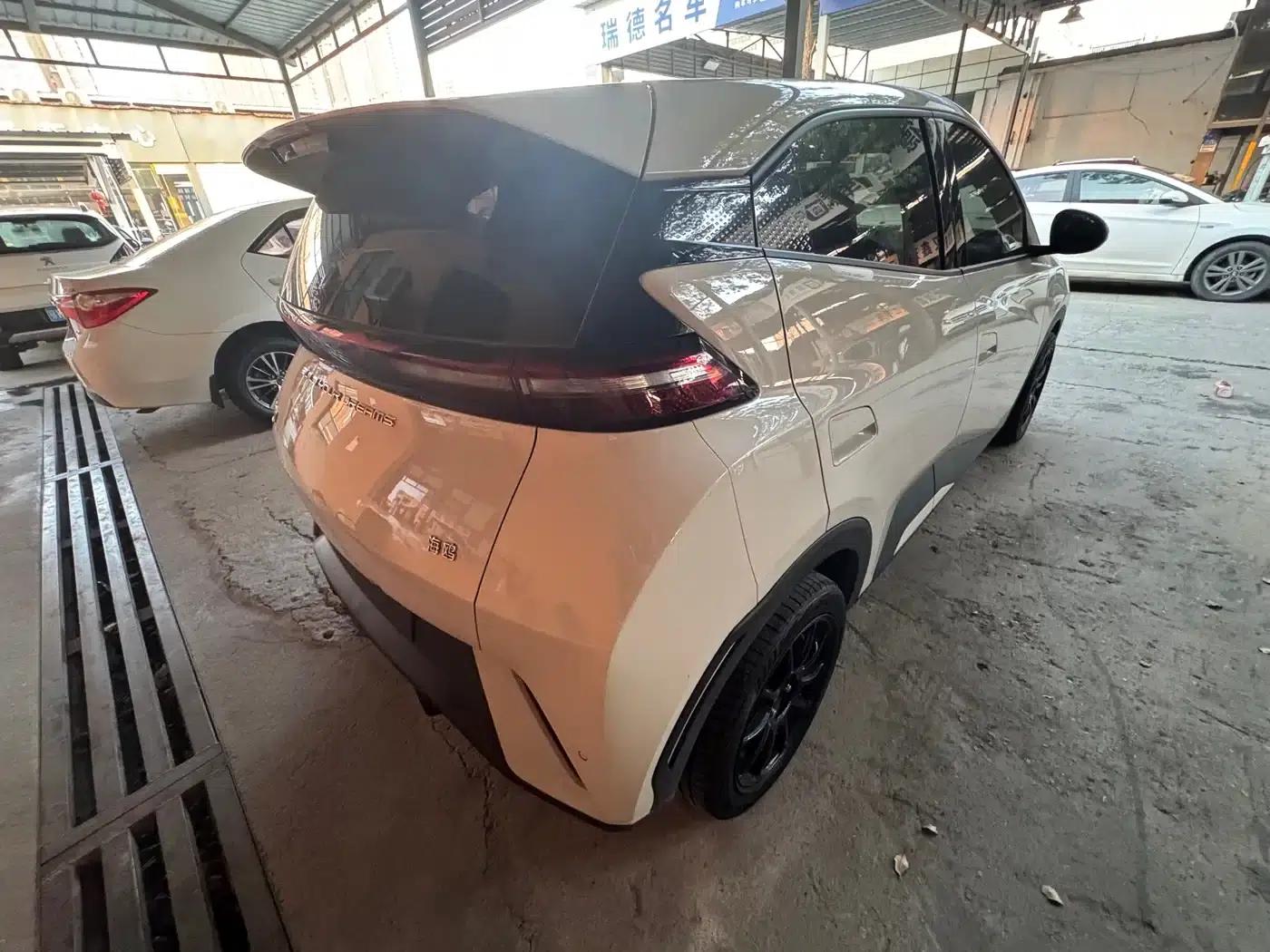 Seagull 2025 305km/h Dynamic Edition — миниатюра 9