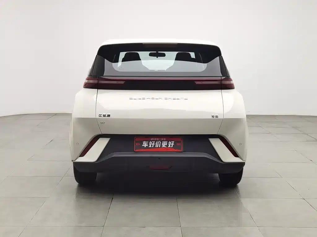 Seagull 2023 Freedom Edition — миниатюра 4