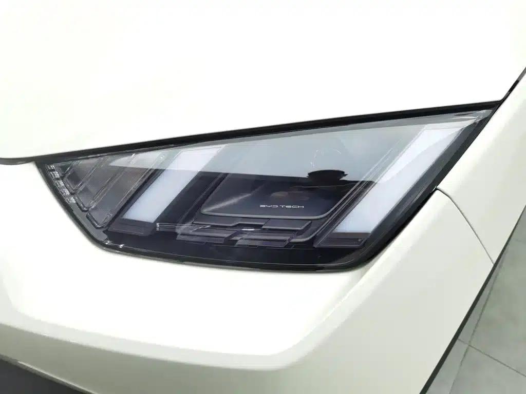 Seagull 2023 Freedom Edition — миниатюра 7
