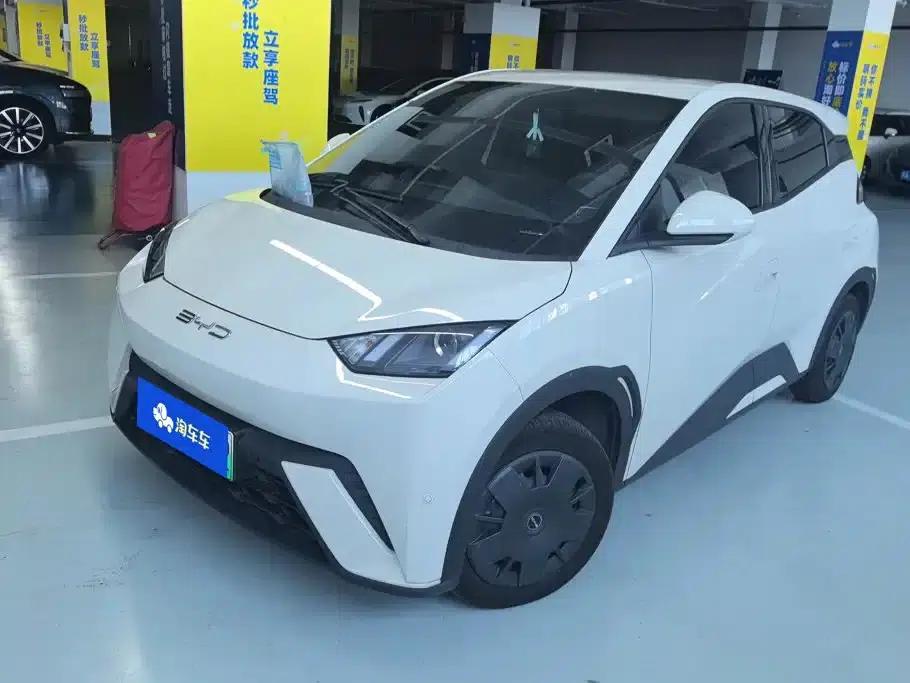 Seagull 2023 Vitality Edition — миниатюра 1