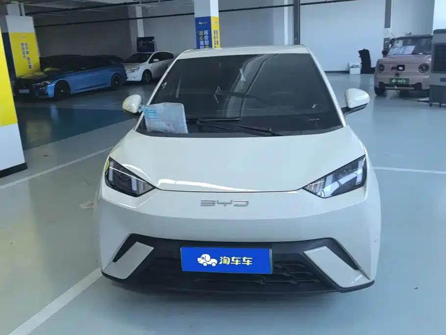 Seagull 2023 Vitality Edition — миниатюра 2