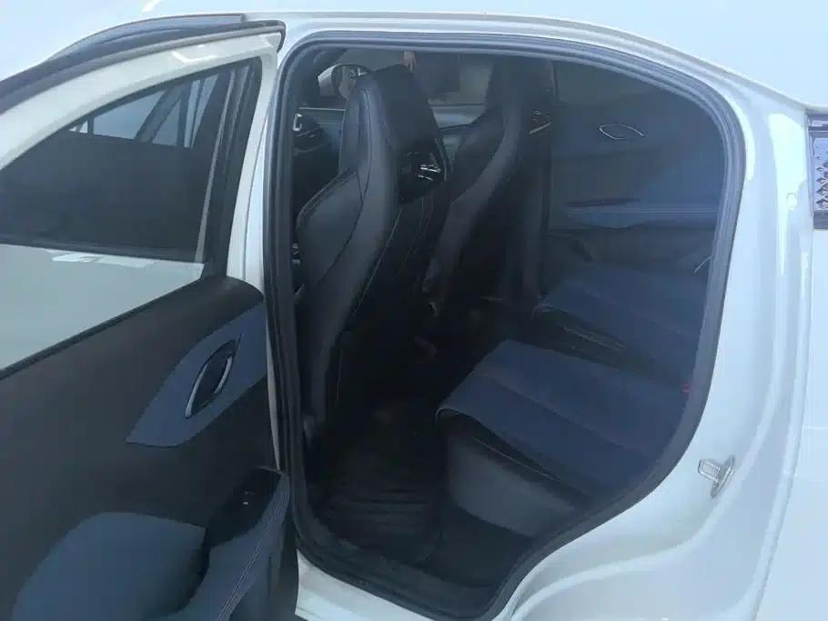 Seagull 2023 Vitality Edition — миниатюра 11