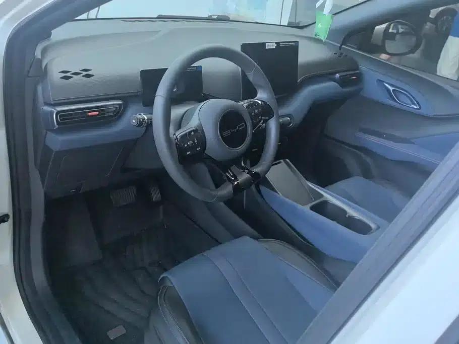 Seagull 2023 Vitality Edition — миниатюра 12