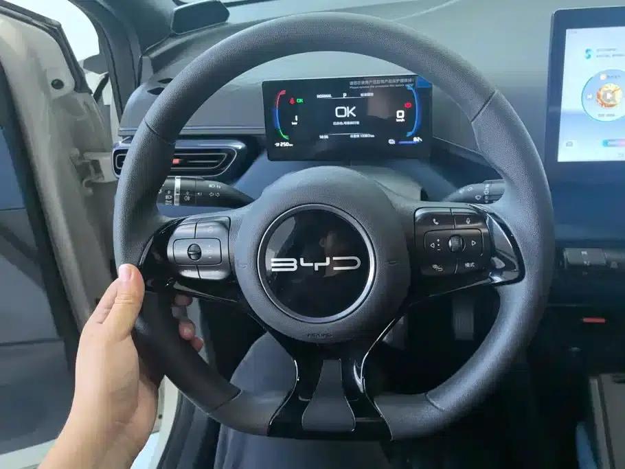 Seagull 2023 Vitality Edition — миниатюра 15