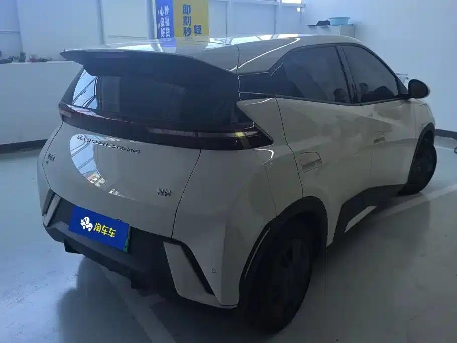 Seagull 2023 Vitality Edition — миниатюра 3