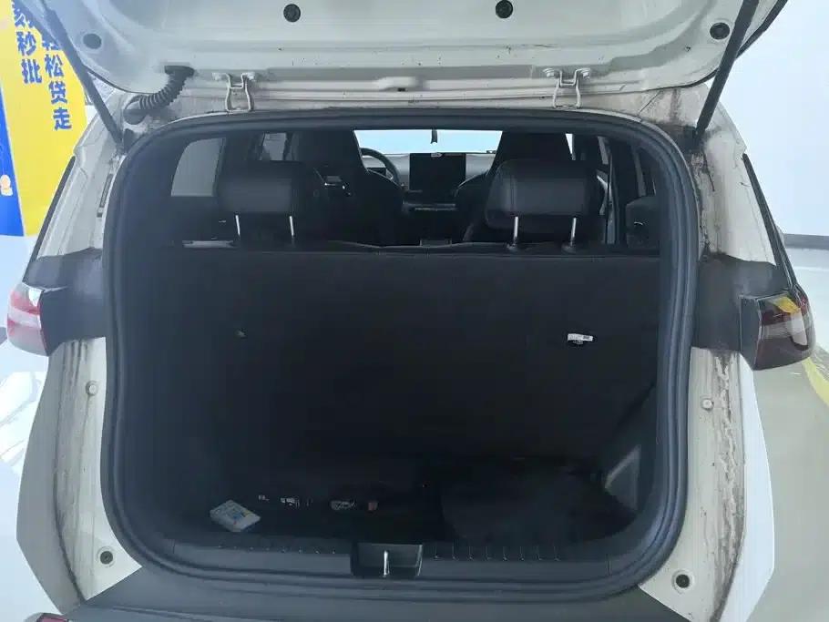 Seagull 2023 Vitality Edition — миниатюра 4
