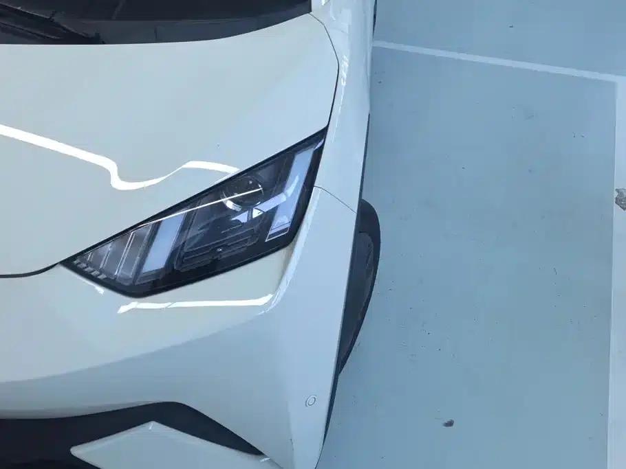 Seagull 2023 Vitality Edition — миниатюра 5