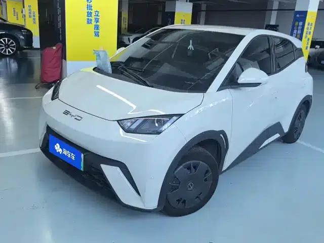 Seagull 2023 Vitality Edition
