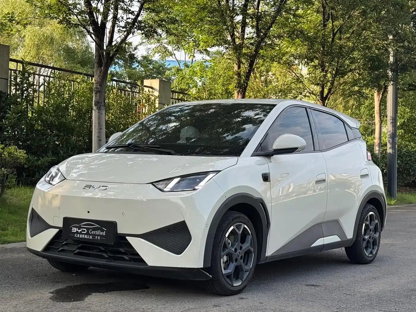 Seagull 2025 Smart Driving Edition 305km Freedom Edition — миниатюра 1