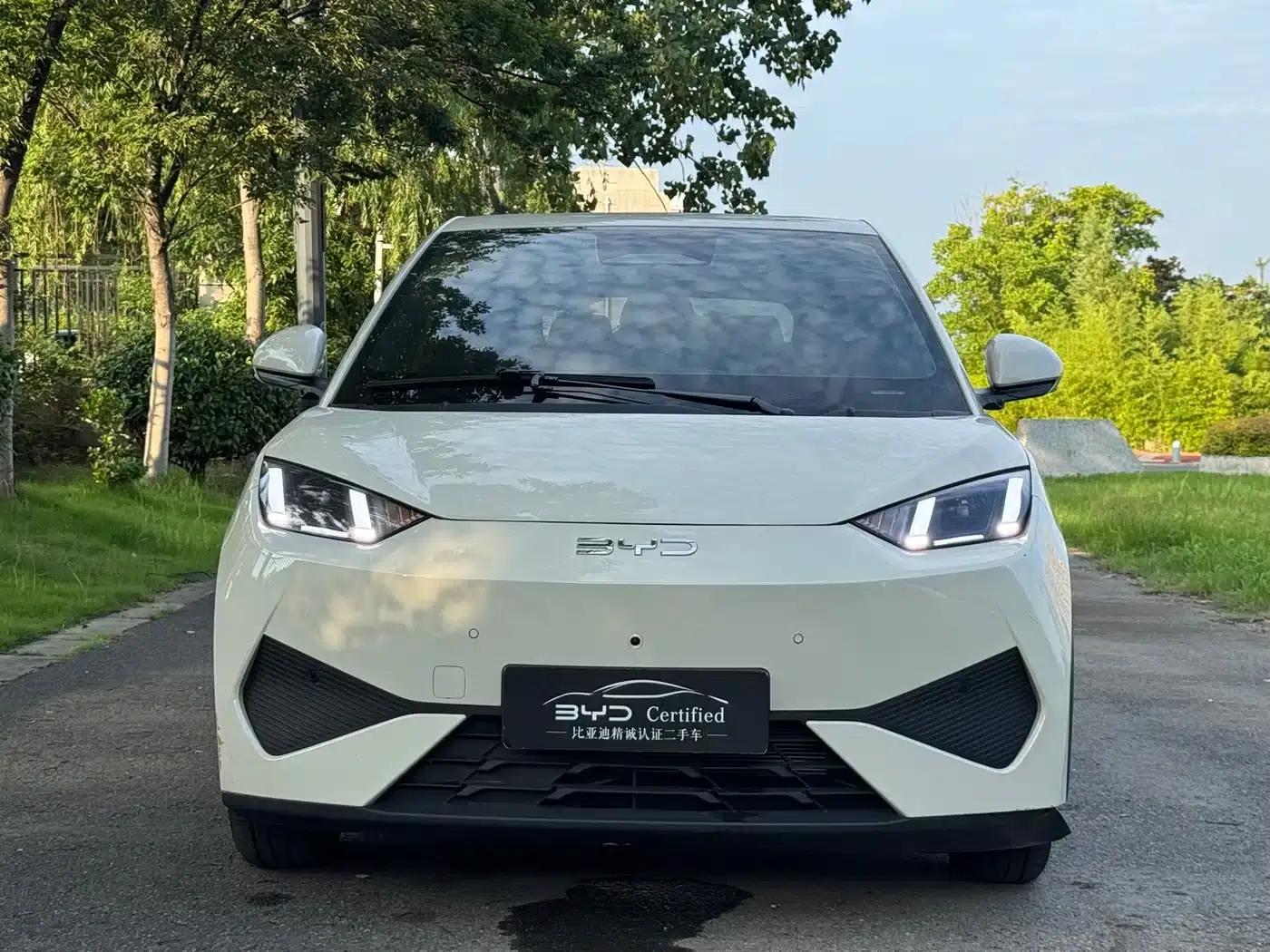 Seagull 2025 Smart Driving Edition 305km Freedom Edition — миниатюра 2
