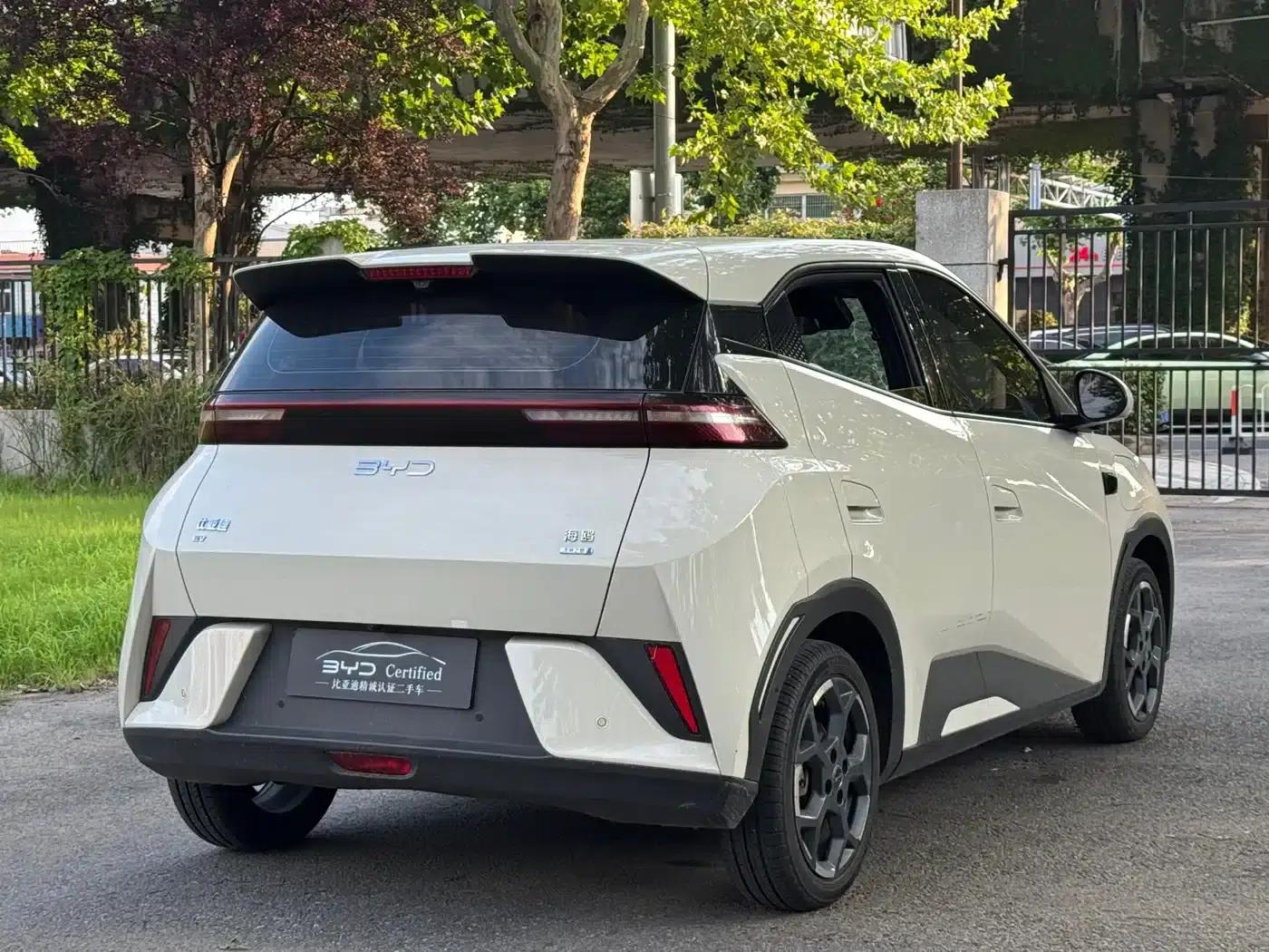 Seagull 2025 Smart Driving Edition 305km Freedom Edition — миниатюра 12
