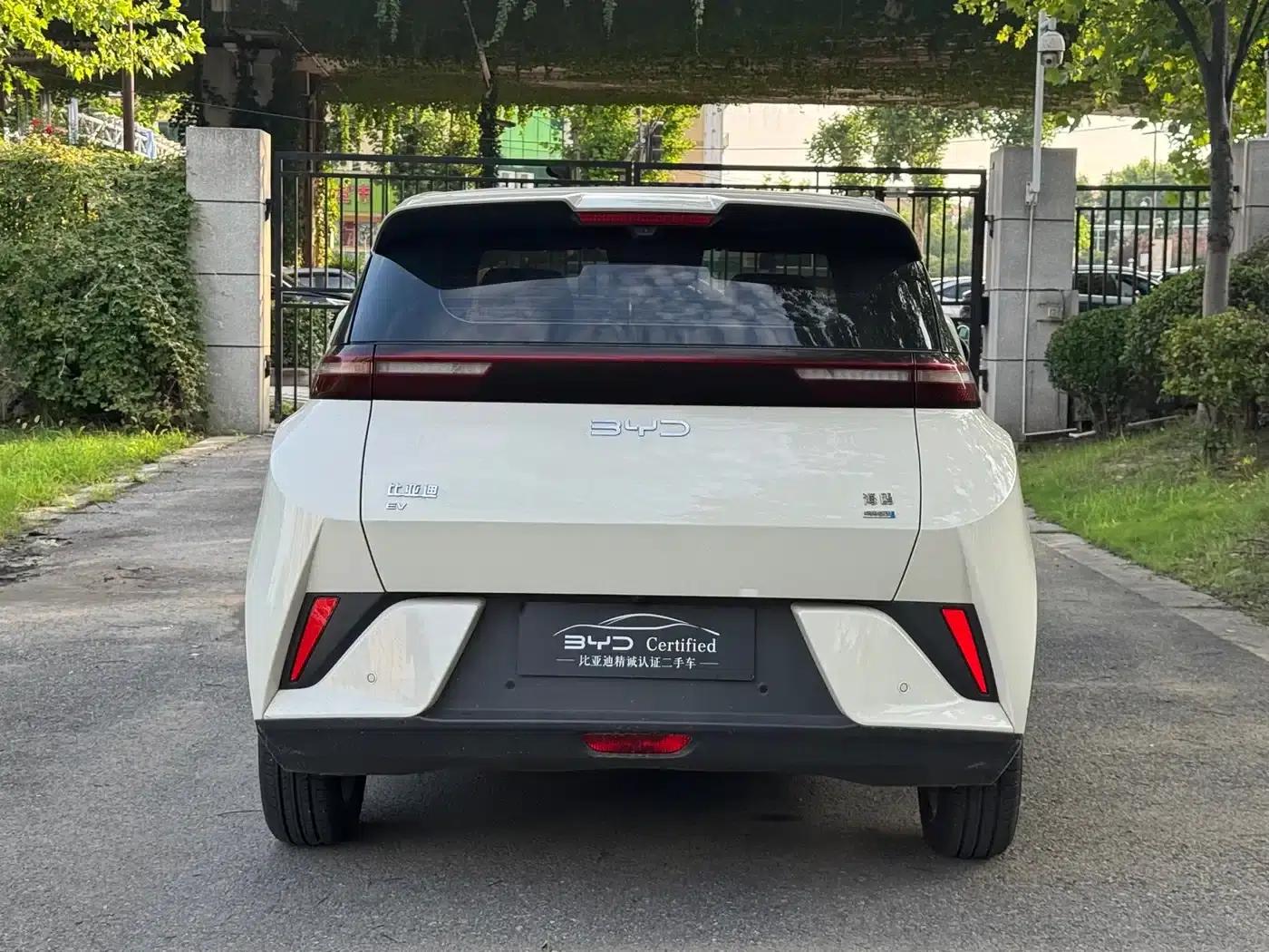 Seagull 2025 Smart Driving Edition 305km Freedom Edition — миниатюра 13